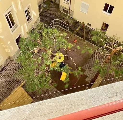 Apartment Your Bright Charming Cocoon Between And *